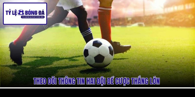 Theo dõi thông tin hai đội để cược thắng lớn